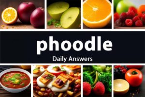 Phoodle Word Game Hints & Answers For Today – January 09, 2025